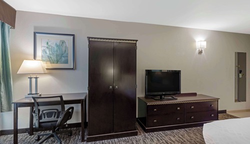 Habitación estándar, 1 cama de matrimonio grande, no fumadores, frigorífico y microondas