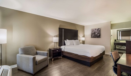 Suite, 1 cama de matrimonio grande, no fumadores