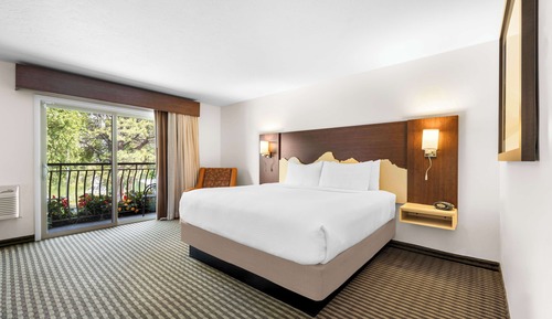 Habitación estándar, 1 cama de matrimonio grande, balcón, vistas al río