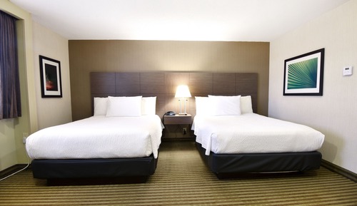 Habitación Deluxe, 2 camas de matrimonio