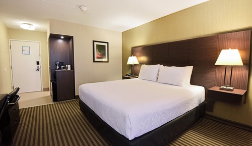 Habitación Premier, 1 cama de matrimonio grande