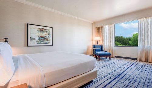 Habitación, 1 cama de matrimonio grande