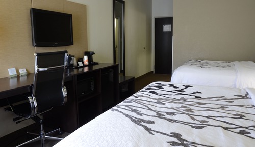 Habitación estándar, 2 camas de matrimonio, no fumadores