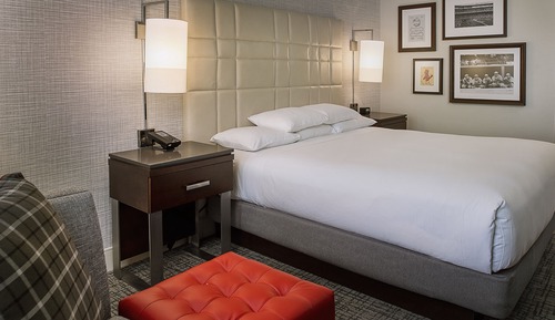 Suite, 1 cama de matrimonio grande (Arch View)