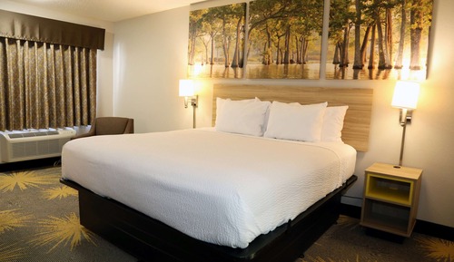 Habitación estándar, 1 cama de matrimonio grande, fumadores