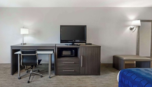 Habitación estándar, 1 cama de matrimonio grande, no fumadores (Not Pet Friendly)