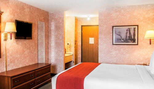 Habitación estándar, 1 cama de matrimonio grande, no fumadores