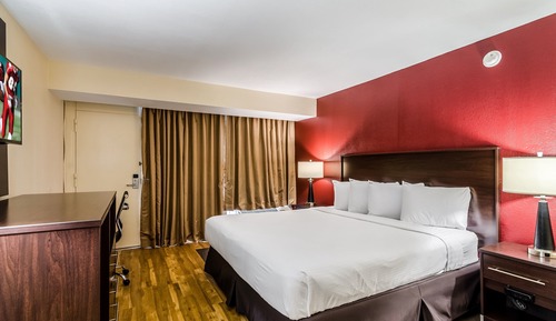 Habitación Premium, 1 cama de matrimonio grande (Upgraded Bedding&Snack Box, RI Shower)