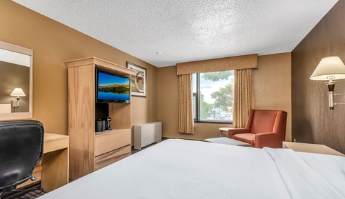 Habitación estándar, 1 cama de matrimonio grande