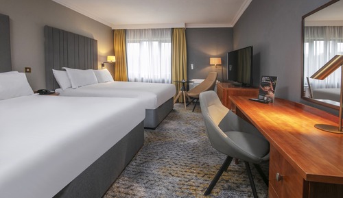 Habitación Deluxe con 2 camas individuales