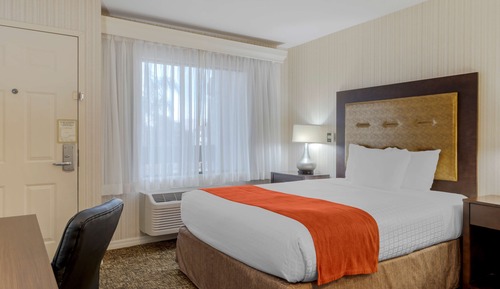 Habitación estándar, varias camas, no fumadores, frigorífico y microondas