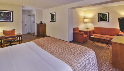 Suite, 1 cama de matrimonio grande, no fumadores