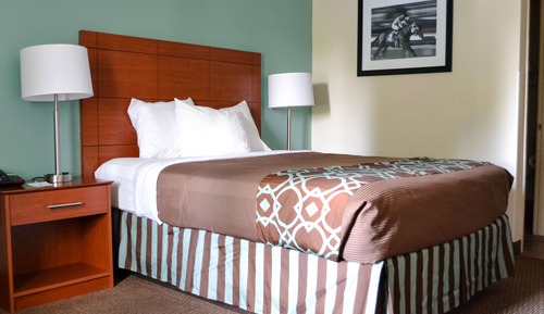 Habitación estándar, 1 cama doble, no fumadores, frigorífico y microondas