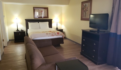 Suite estudio, 1 cama de matrimonio, accesible para personas con discapacidad, no fumadores