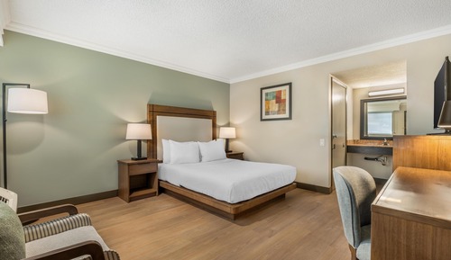 Habitación estándar, 1 cama de matrimonio grande, no fumadores