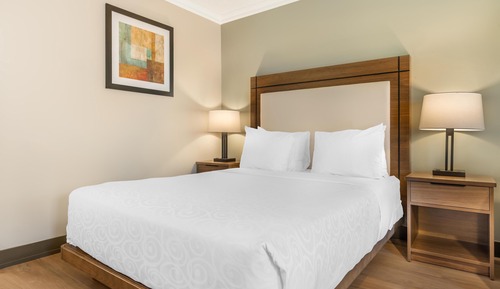 Habitación estándar, 1 cama de matrimonio, no fumadores