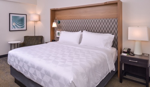 Habitación estándar, 1 cama de matrimonio grande