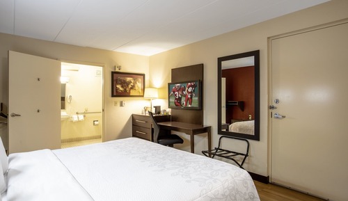 Habitación estándar, 1 cama de matrimonio grande (Roll-In Shower, Smoke Free)