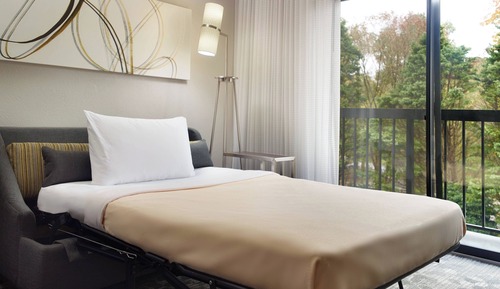 Habitación, 1 cama de matrimonio grande con sofá cama (Mobility/Hearing Access, Roll-In Shwr)