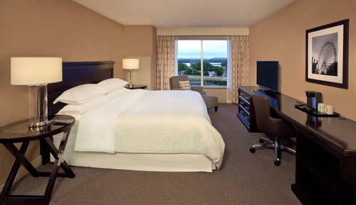 Suite ejecutiva, 1 cama de matrimonio grande con sofá cama, vistas al río