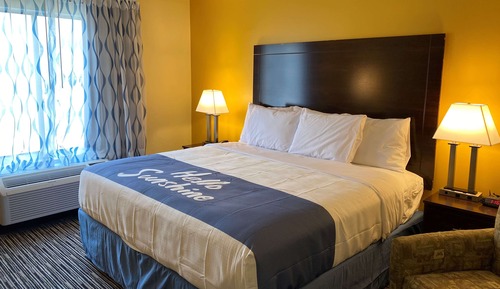 Habitación, 1 cama de matrimonio grande, accesible para personas con discapacidad (Roll-In Shower)