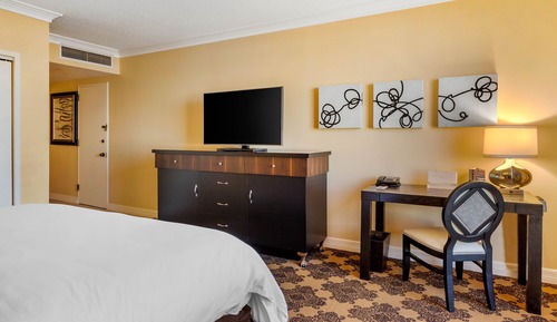 Habitación Deluxe, 1 cama de matrimonio grande (Roll-In-Shower)