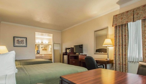 Habitación estándar, 2 camas de matrimonio, no fumadores (Roll-In Shower, Pet Friendly)