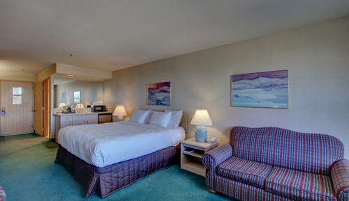 Habitación estándar, 1 cama de matrimonio grande (Pet Friendly)