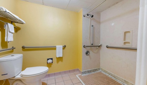 Suite, 1 cama de matrimonio grande, accesible para personas con discapacidad, no fumadores