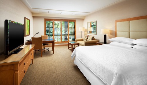 Habitación, 1 cama de matrimonio grande