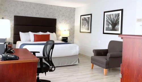 Suite, 1 cama de matrimonio grande, no fumadores, cocina (Dining Table)