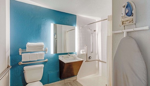 Habitación, 1 cama de matrimonio grande, accesible para personas con discapacidad (Roll-In Shower)