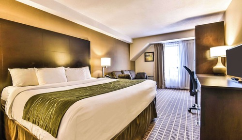 Habitación estándar, 1 cama de matrimonio grande con sofá cama, planta baja