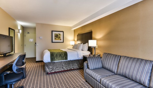 Comfort Care, Habitación estándar, 1 cama de matrimonio con sofá cama