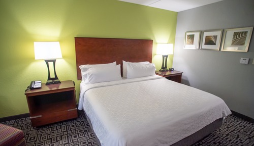 Habitación estándar, 1 cama de matrimonio grande (Communication Accessible)