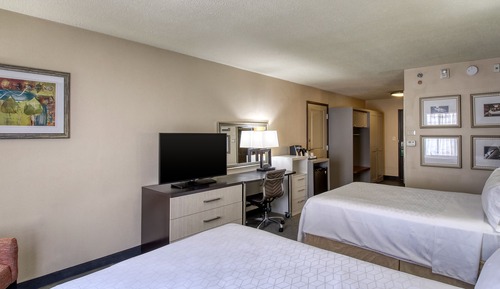 Habitación estándar, 1 cama individual (Communications, Roll-In Shower)