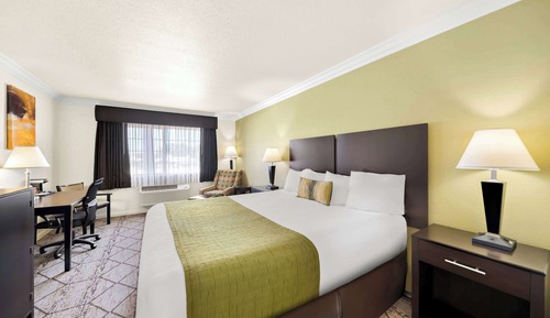 Habitación estándar, 1 cama de matrimonio grande, no fumadores, frigorífico y microondas