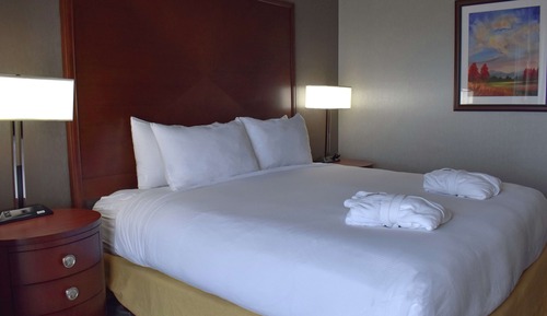 Habitación Premium, 1 cama de matrimonio grande, accesible para personas con discapacidad