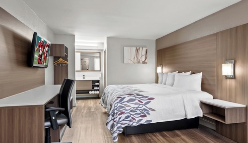 Habitación Deluxe, 1 cama de matrimonio grande, fumadores