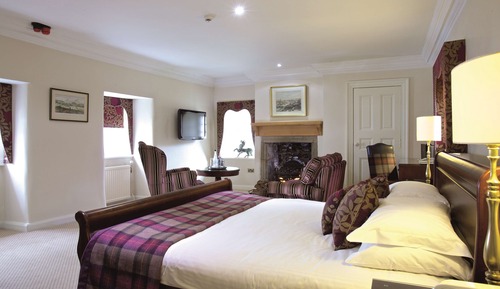 Habitación superior, 1 cama doble (Super Deluxe Double)