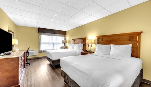 Habitación (Pet Friendly)