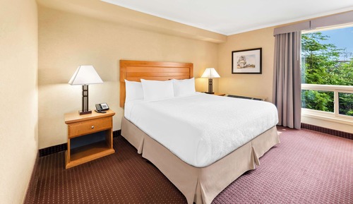 Suite, 1 cama de matrimonio grande, chimenea, planta baja (Living Room)