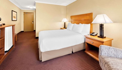 Habitación estándar, 1 cama de matrimonio grande, no fumadores, frigorífico y microondas