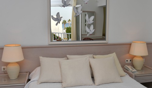 Suite superior, vistas al jardín