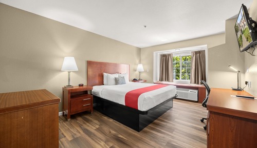 Suite, 1 cama de matrimonio grande, no fumadores, cocina (with Single Sofabed, Full Kitchen)