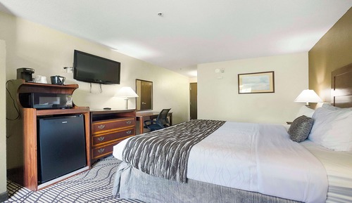 Habitación estándar, 1 cama de matrimonio grande, no fumadores, frigorífico y microondas