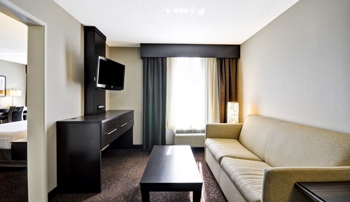 Suite, 1 habitación (1 King Bed, Sofa Bed)