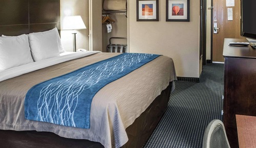 Habitación estándar, 1 cama de matrimonio grande, no fumadores