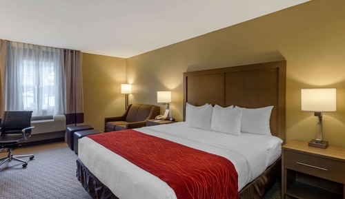 Habitación estándar, 1 cama de matrimonio grande, no fumadores