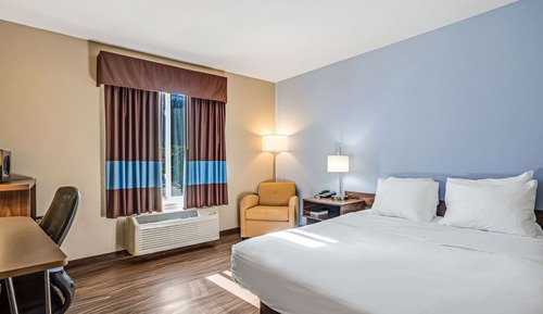 Habitación estándar, 1 cama de matrimonio, no fumadores